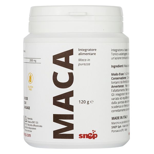 MACA